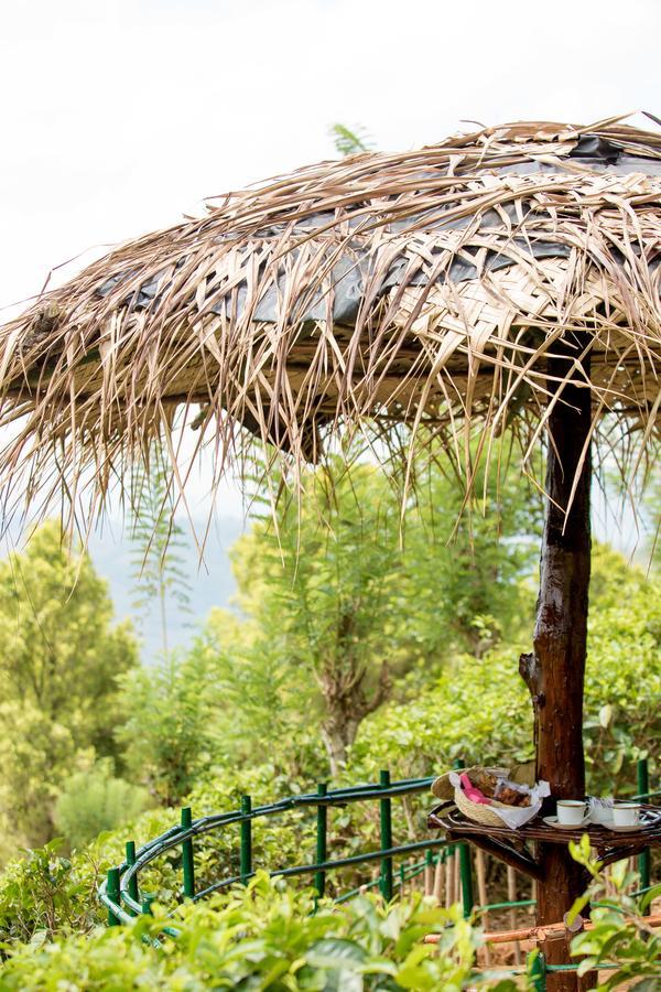 Mount Havana Kandy