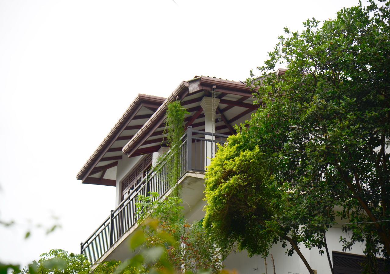 Homestay Dreamscape Kandy