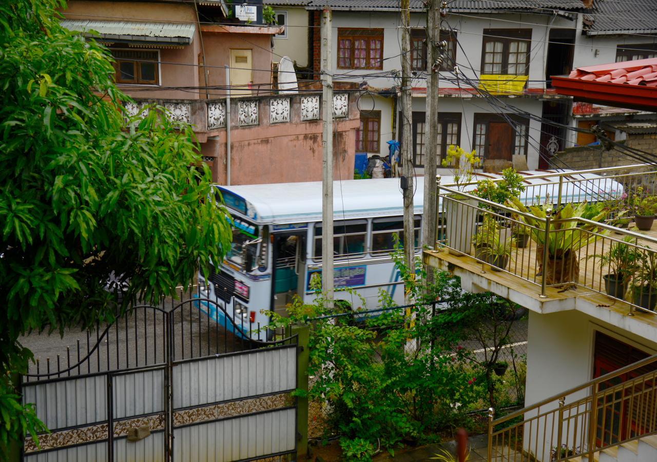 Homestay Dreamscape *