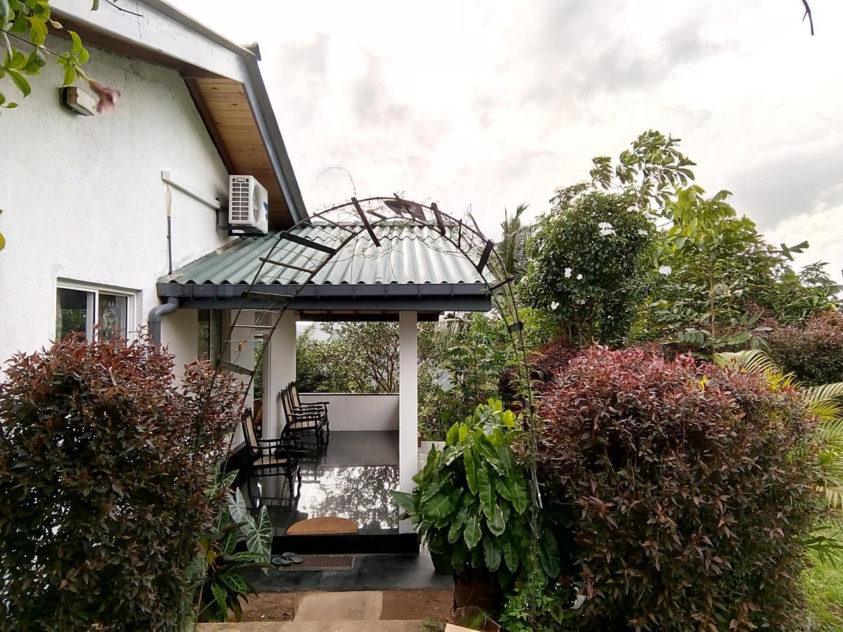 Guest house Primrose Hill Bunglow