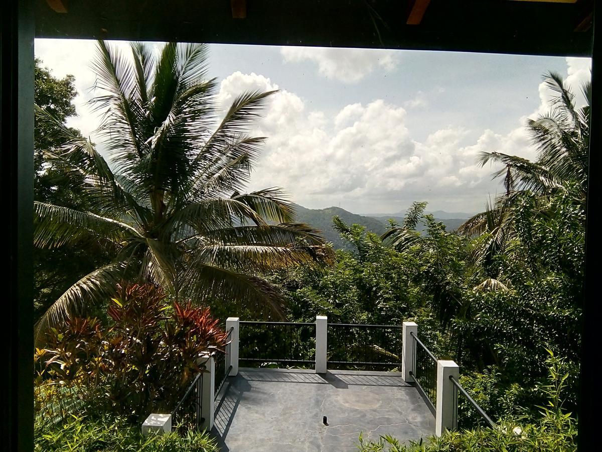 Primrose Hill Bunglow Guest house Kandy