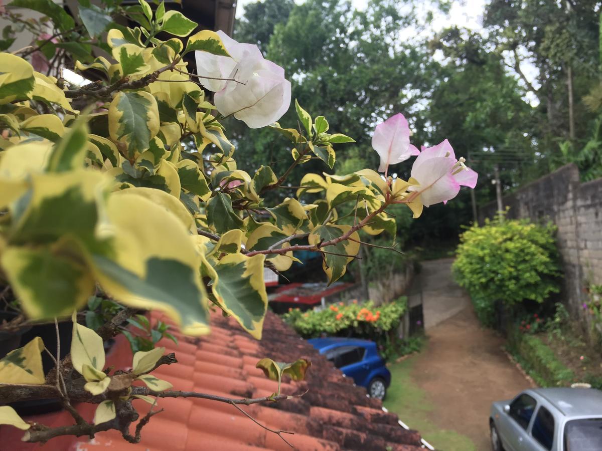 Sunny Hill * Kandy