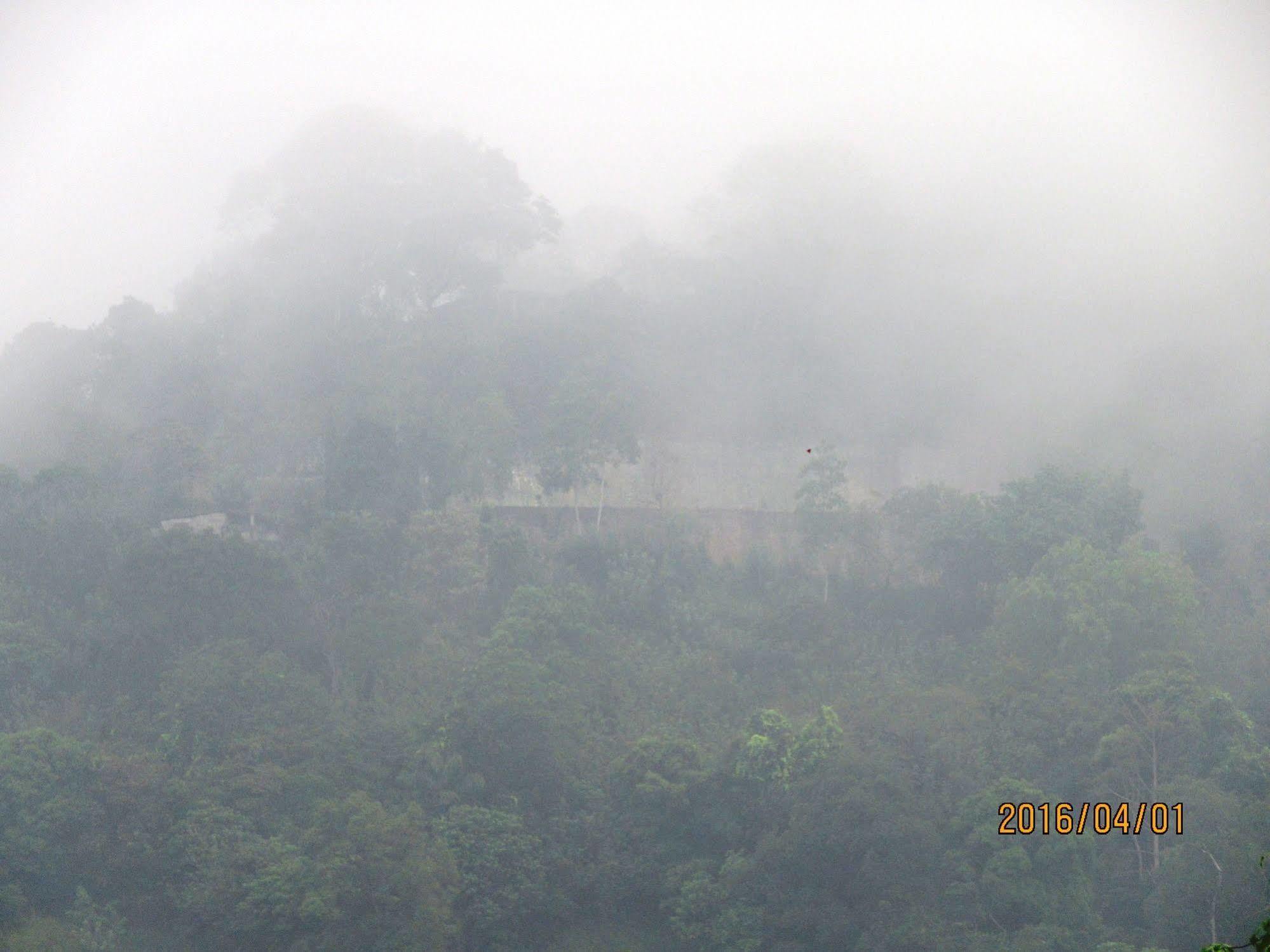 Oyo 433 Paradise 3* Kandy