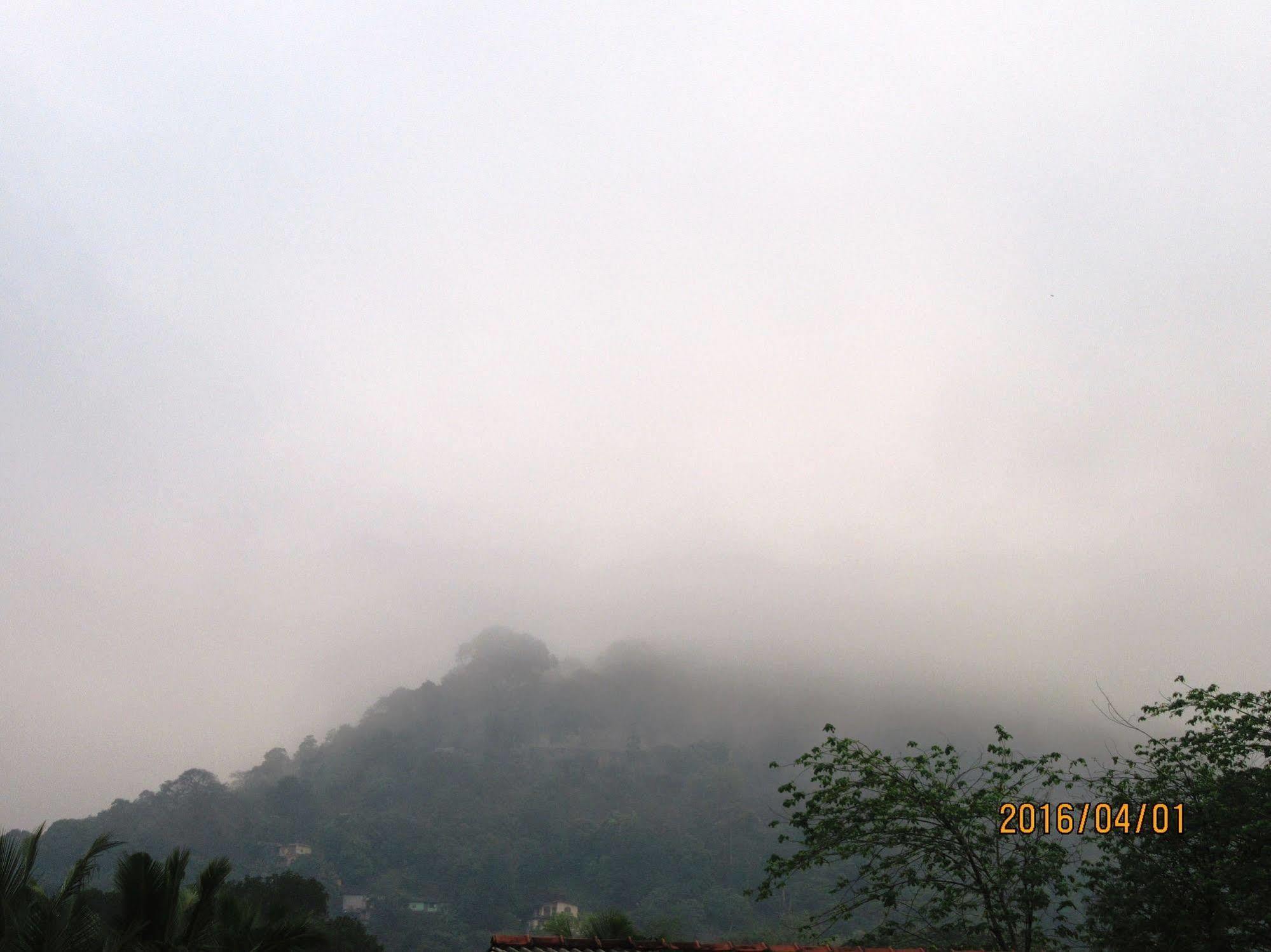 Oyo 433 Paradise