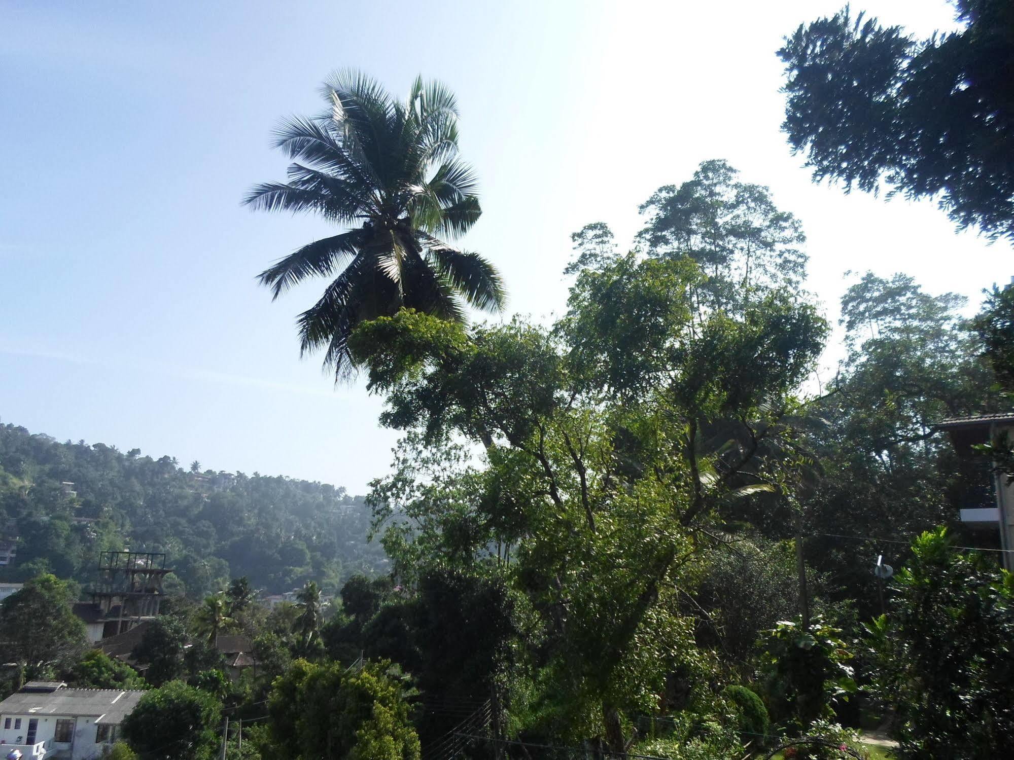 Hills Kandy
