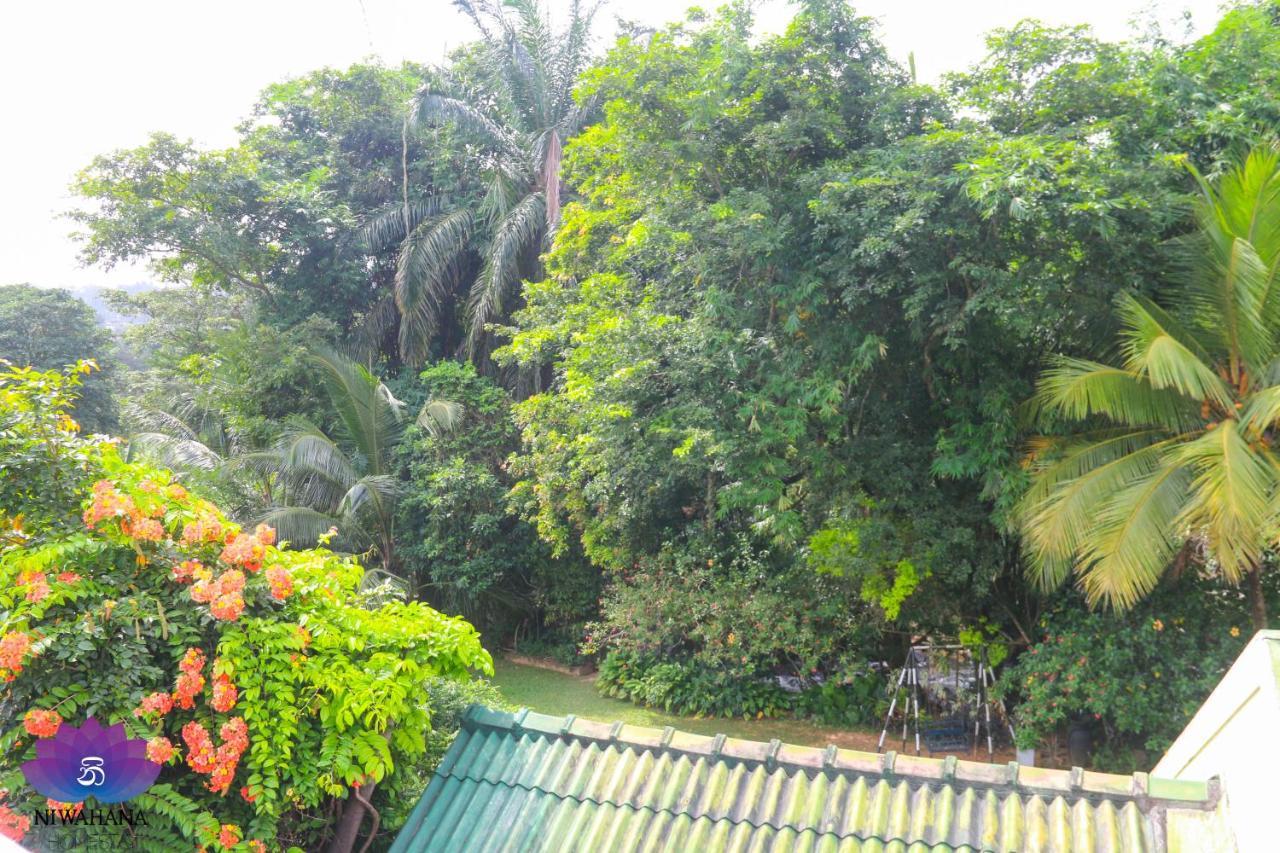 Nivahana Homestay