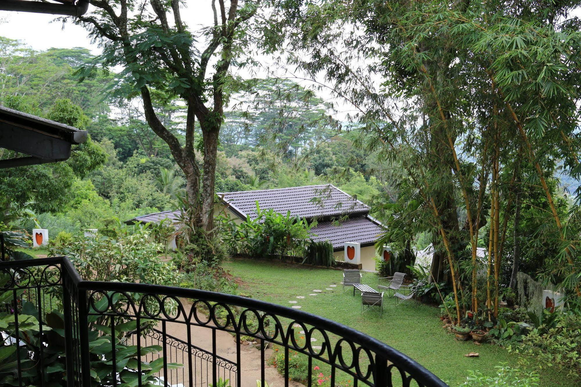 Shenandoah Kandy