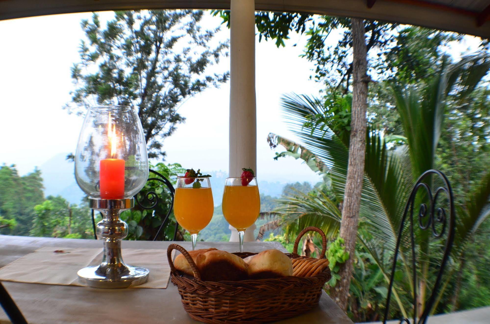 Hotel Shenandoah 4*