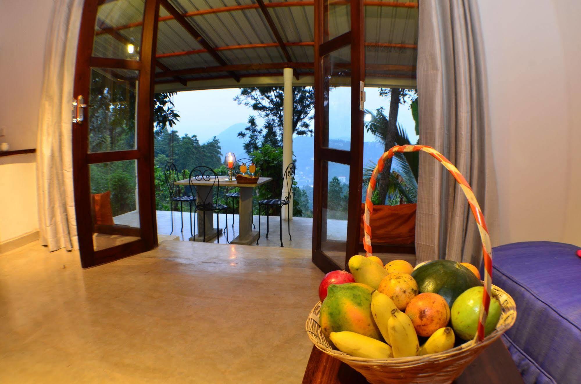 Hotel Shenandoah 4*