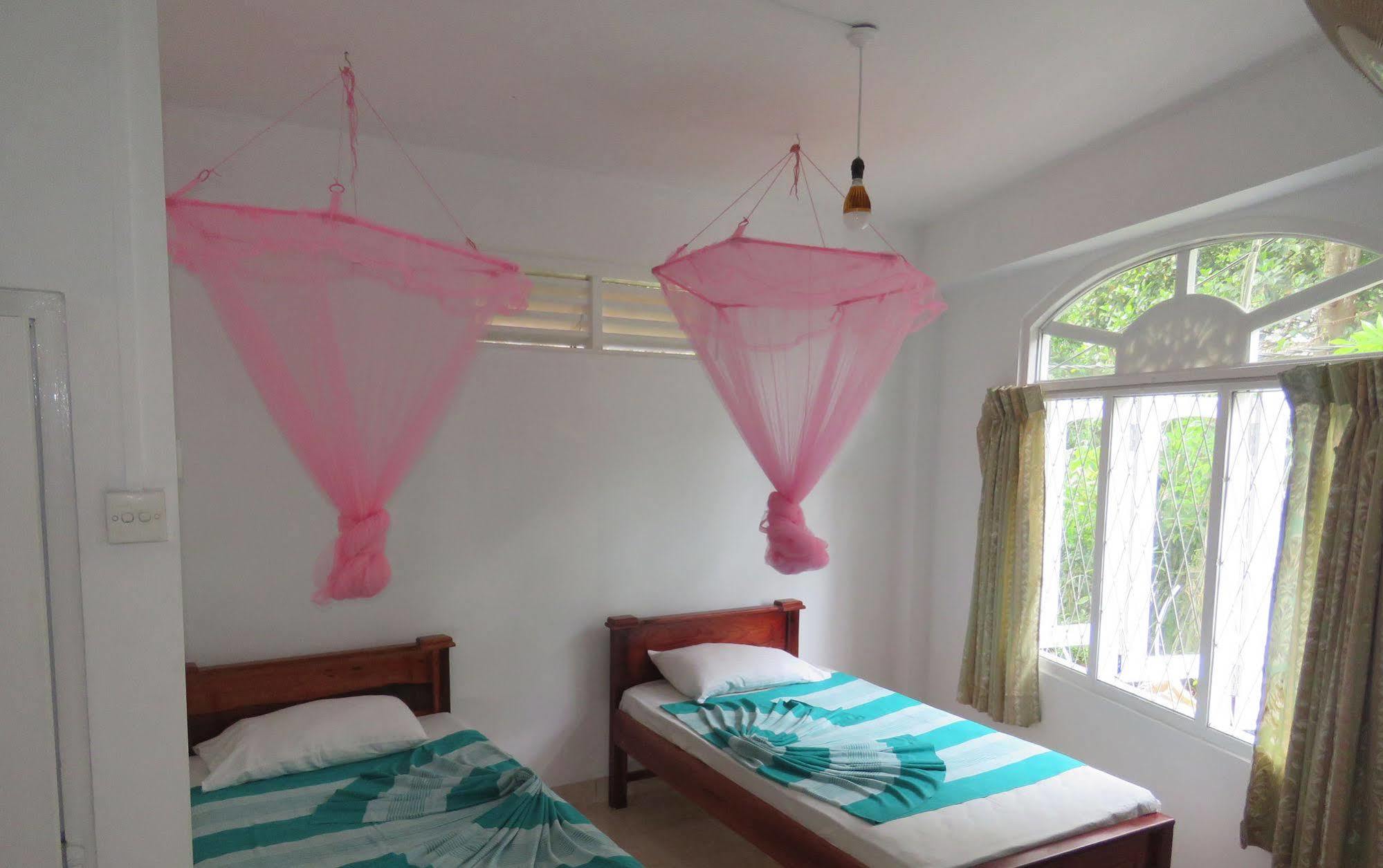 Blue Haven Kandy