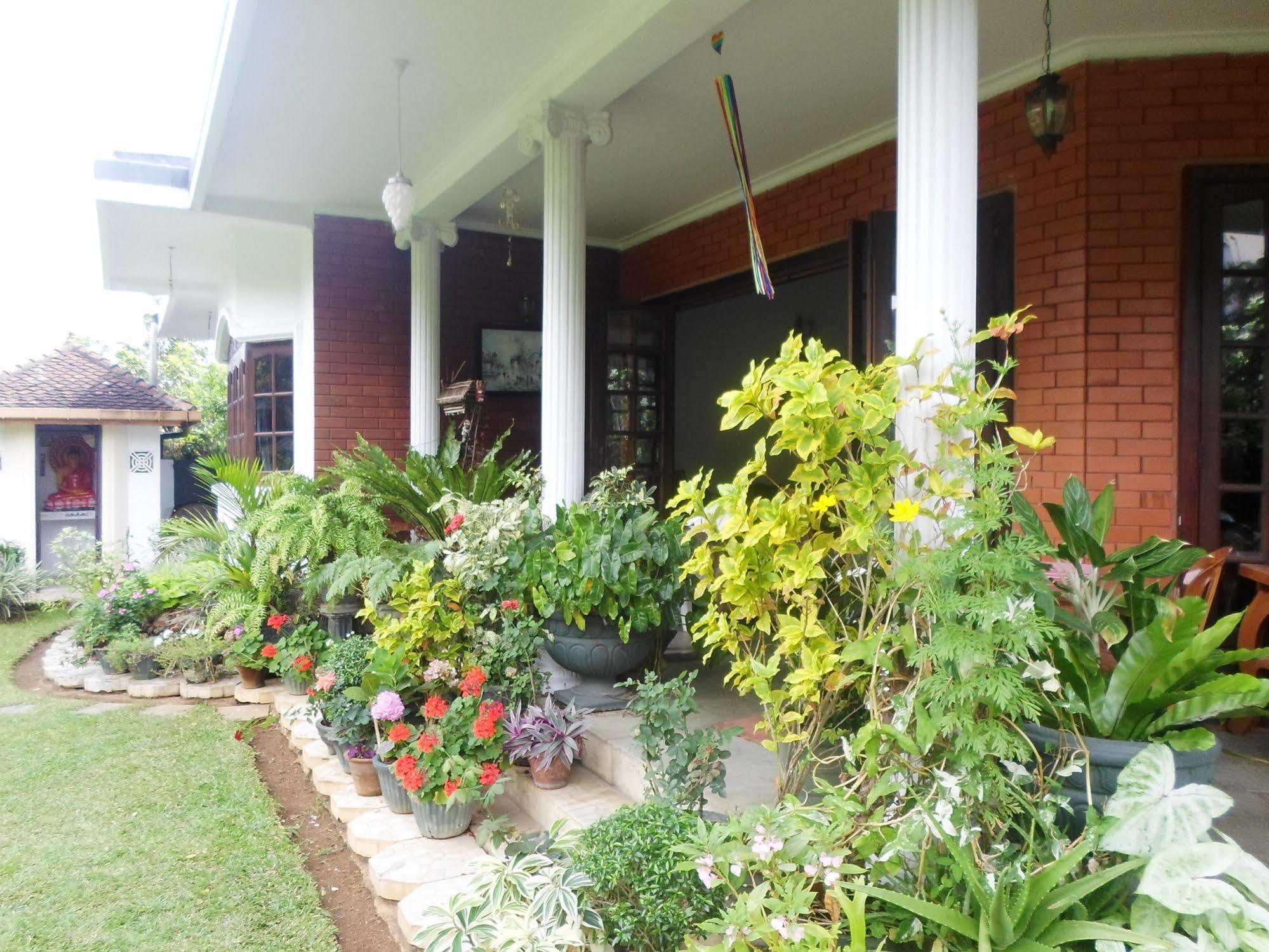 Kandy Green View Boutique
