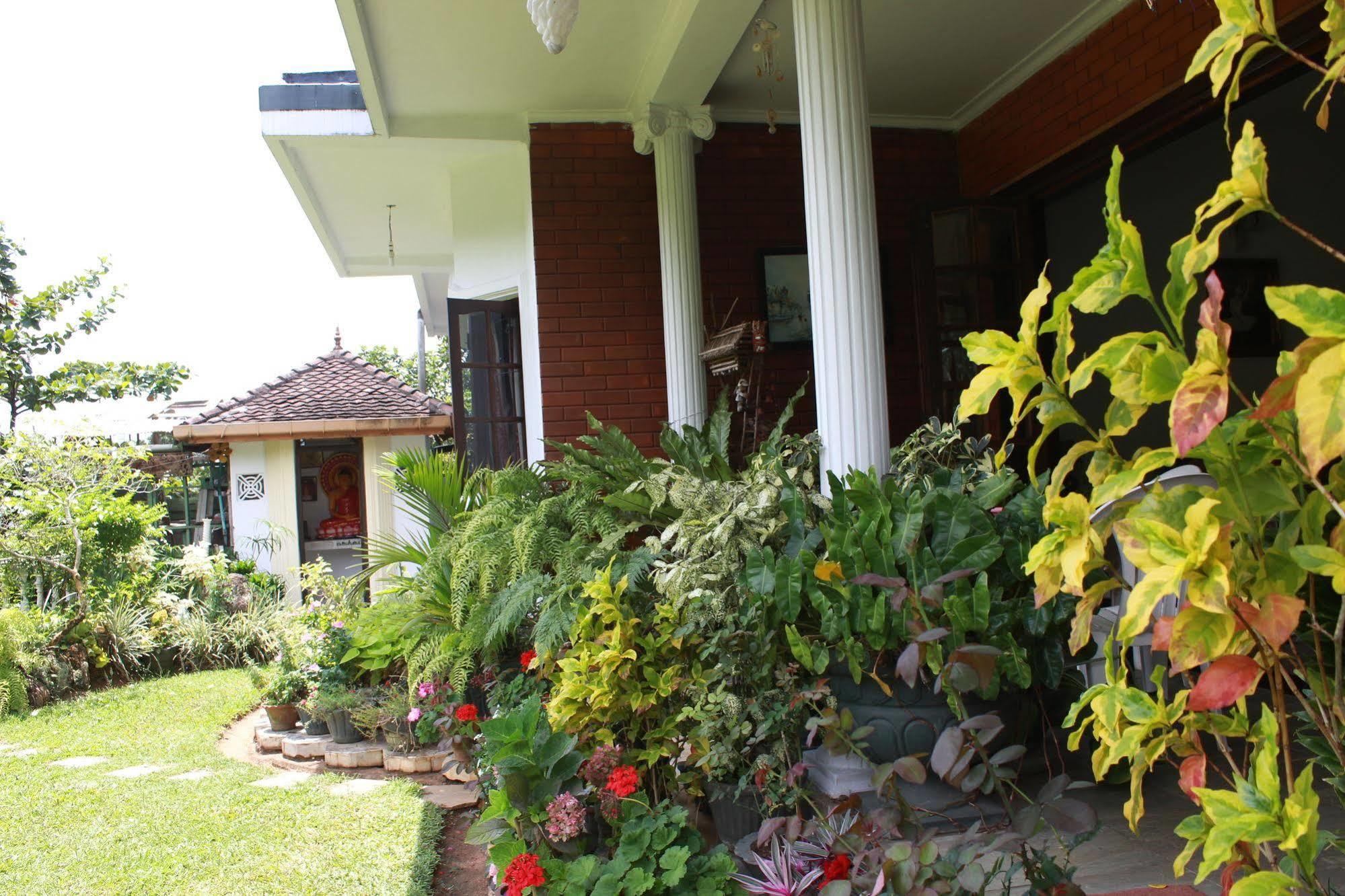 Kandy Green View Boutique