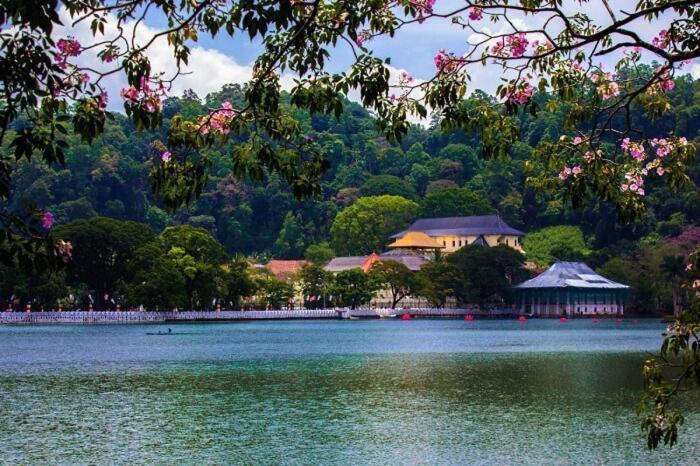 Inn Red Chillies Tourist Kandy