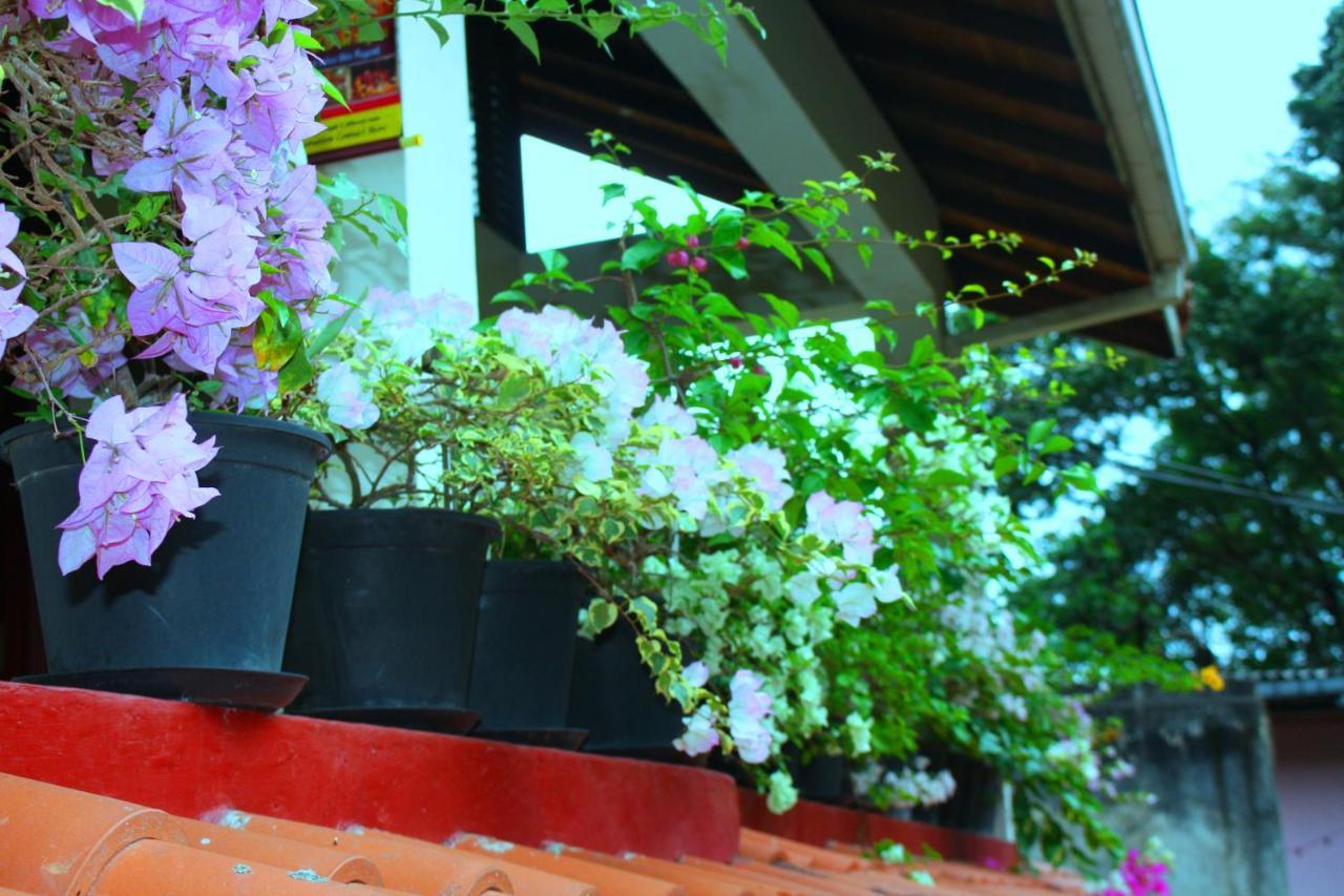 Homestay Sunny Hill Kandy