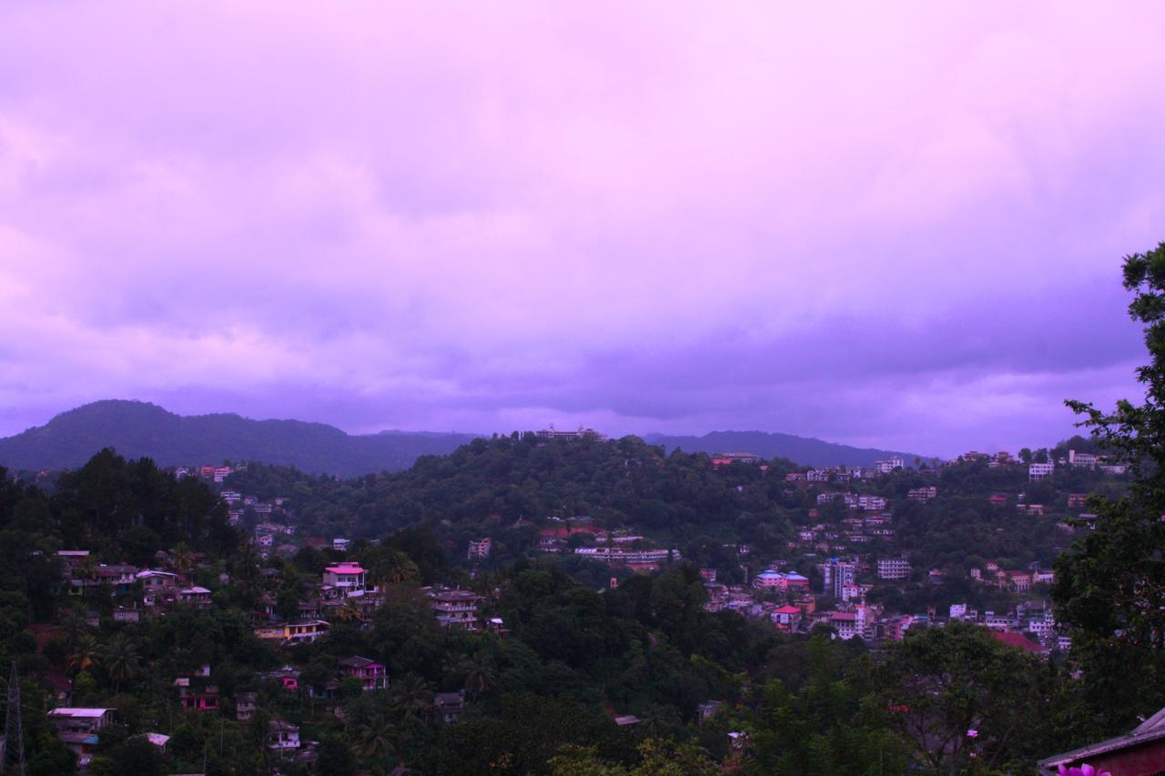 Sunny Hill *
