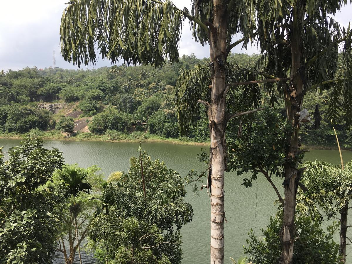 Rivers Edge Nature