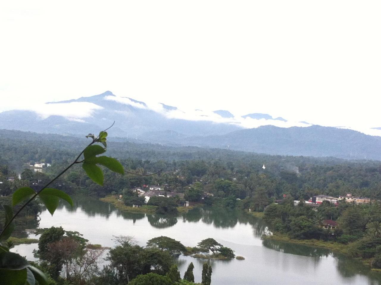 Arunalu