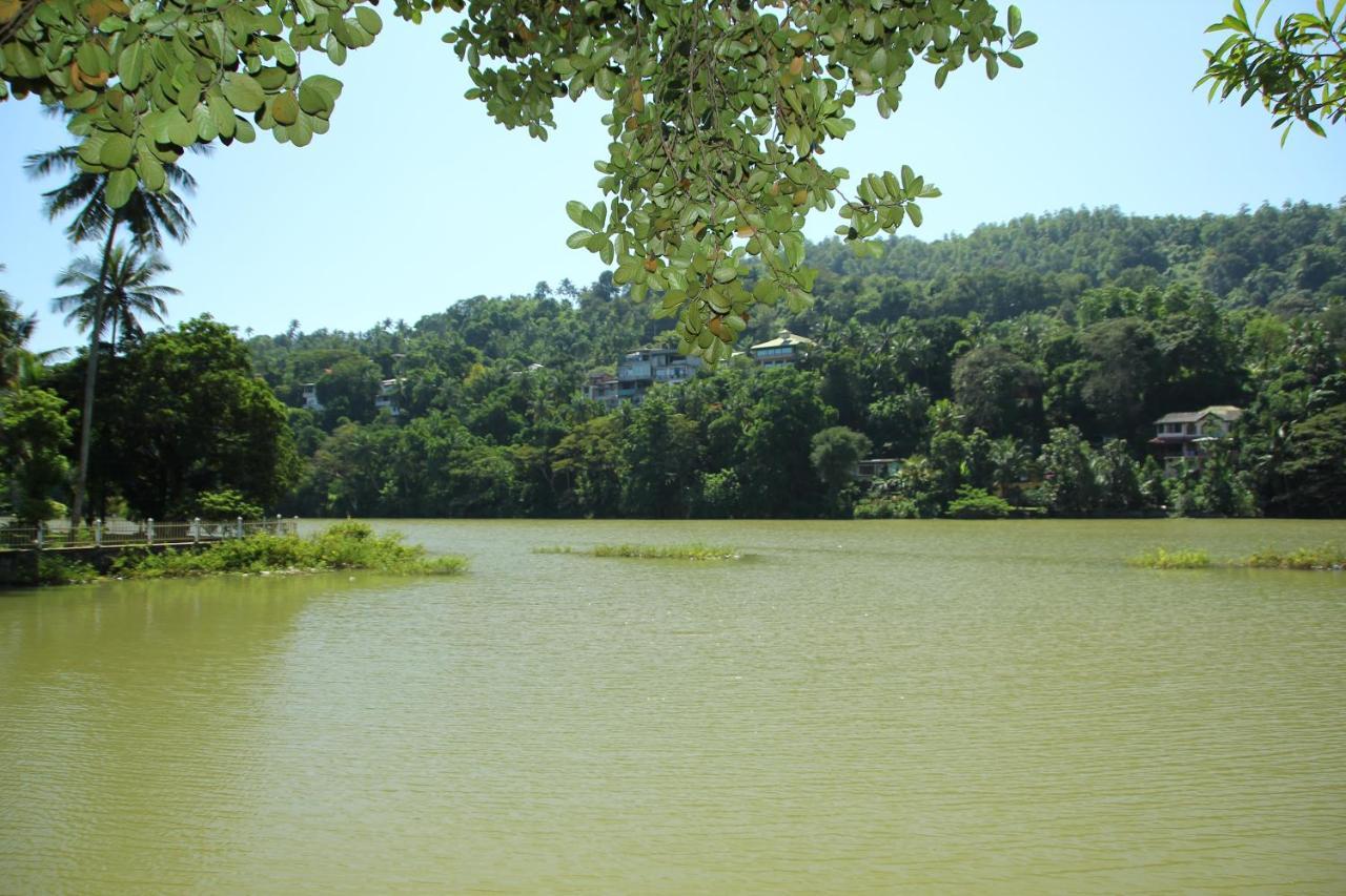 Guest house Mahaweli Shades 2*