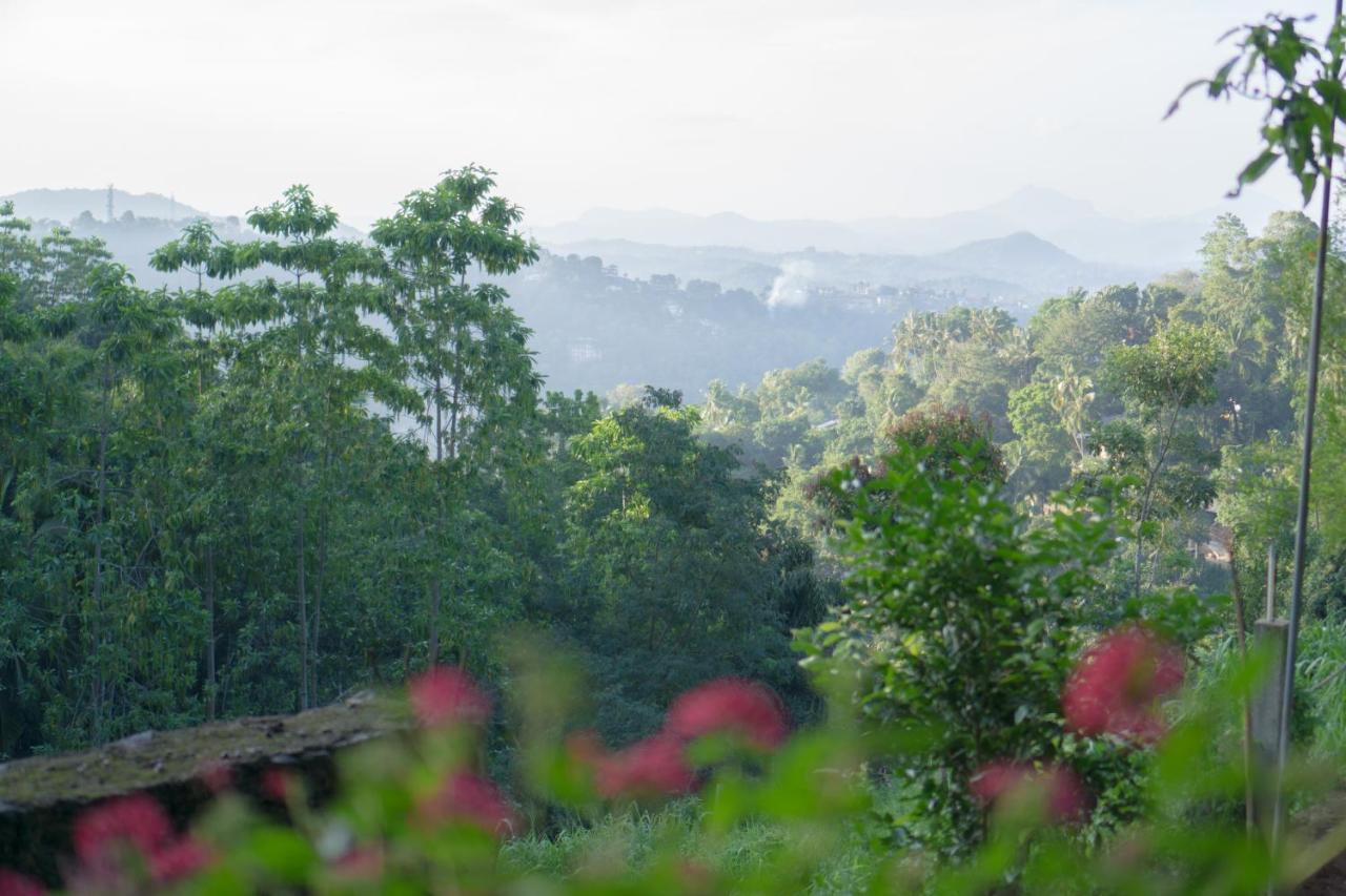 Shenandoah 4* Kandy