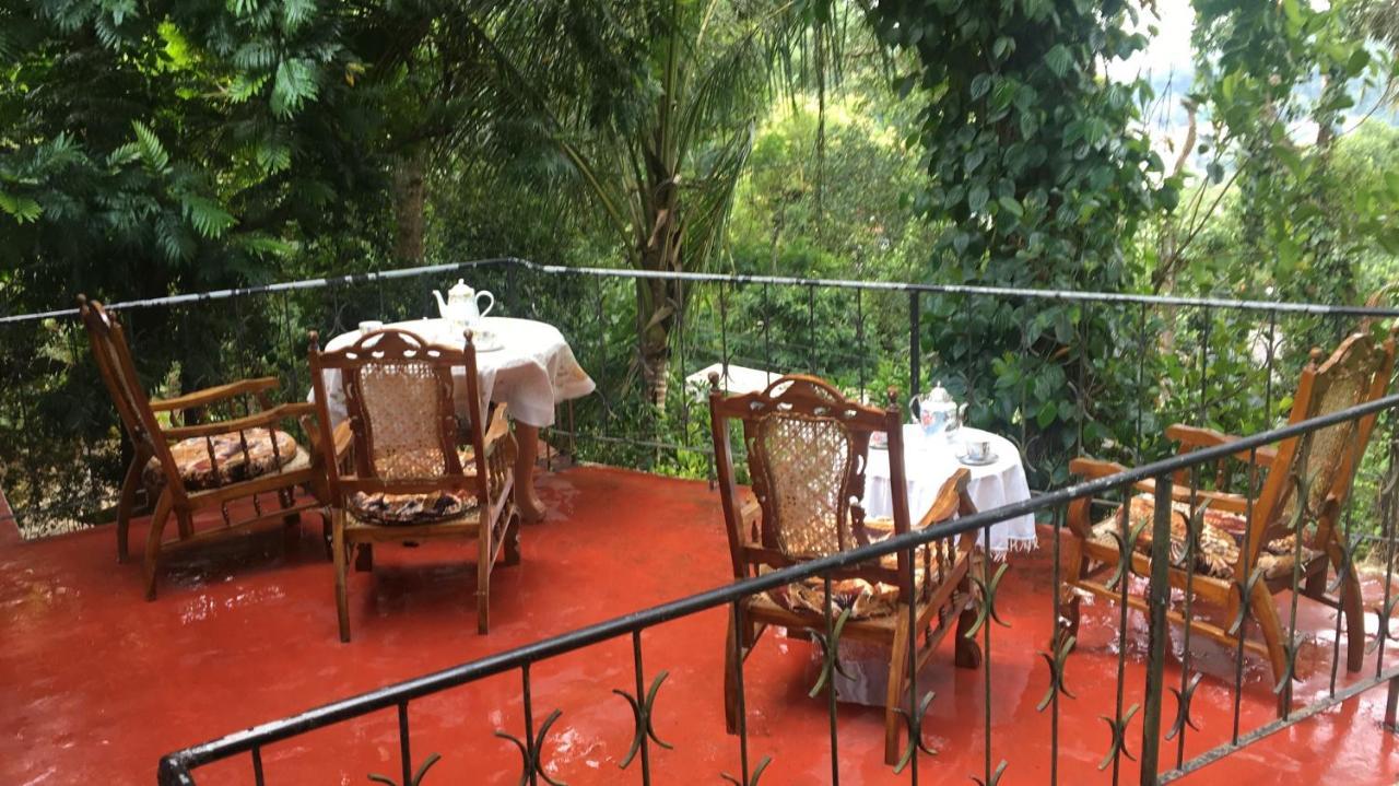 Guest house Shady Trees 2*