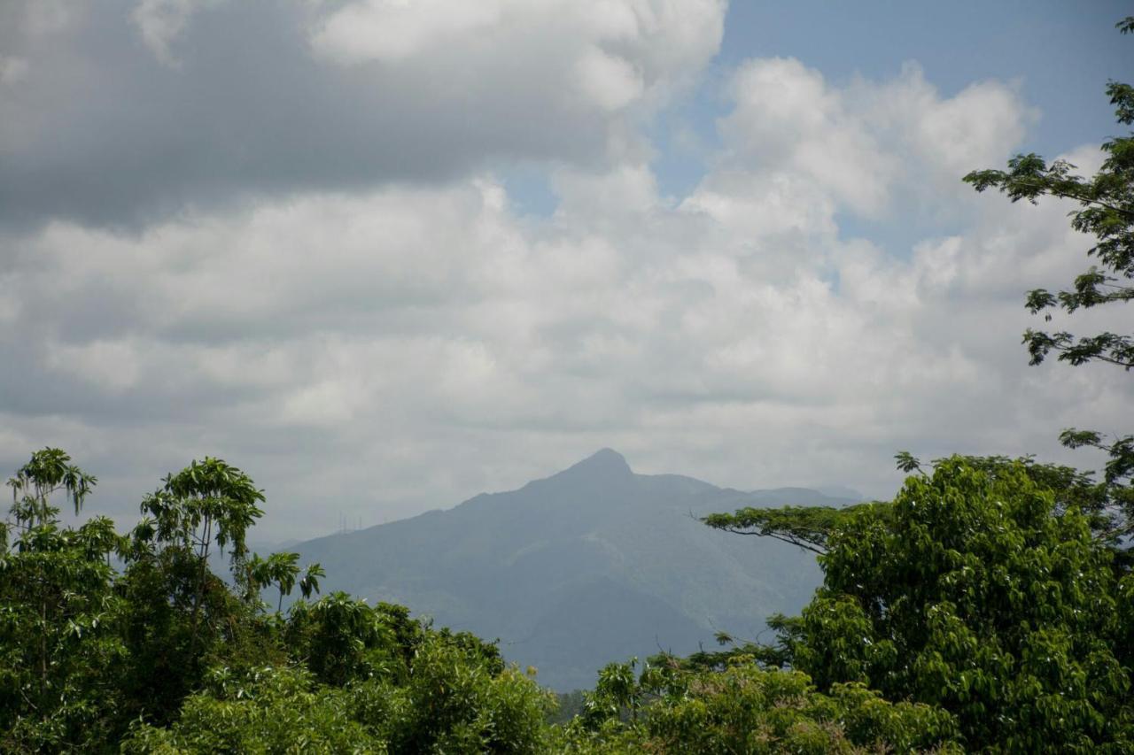 Kandyan Glory Hanthana Homestay Kandy
