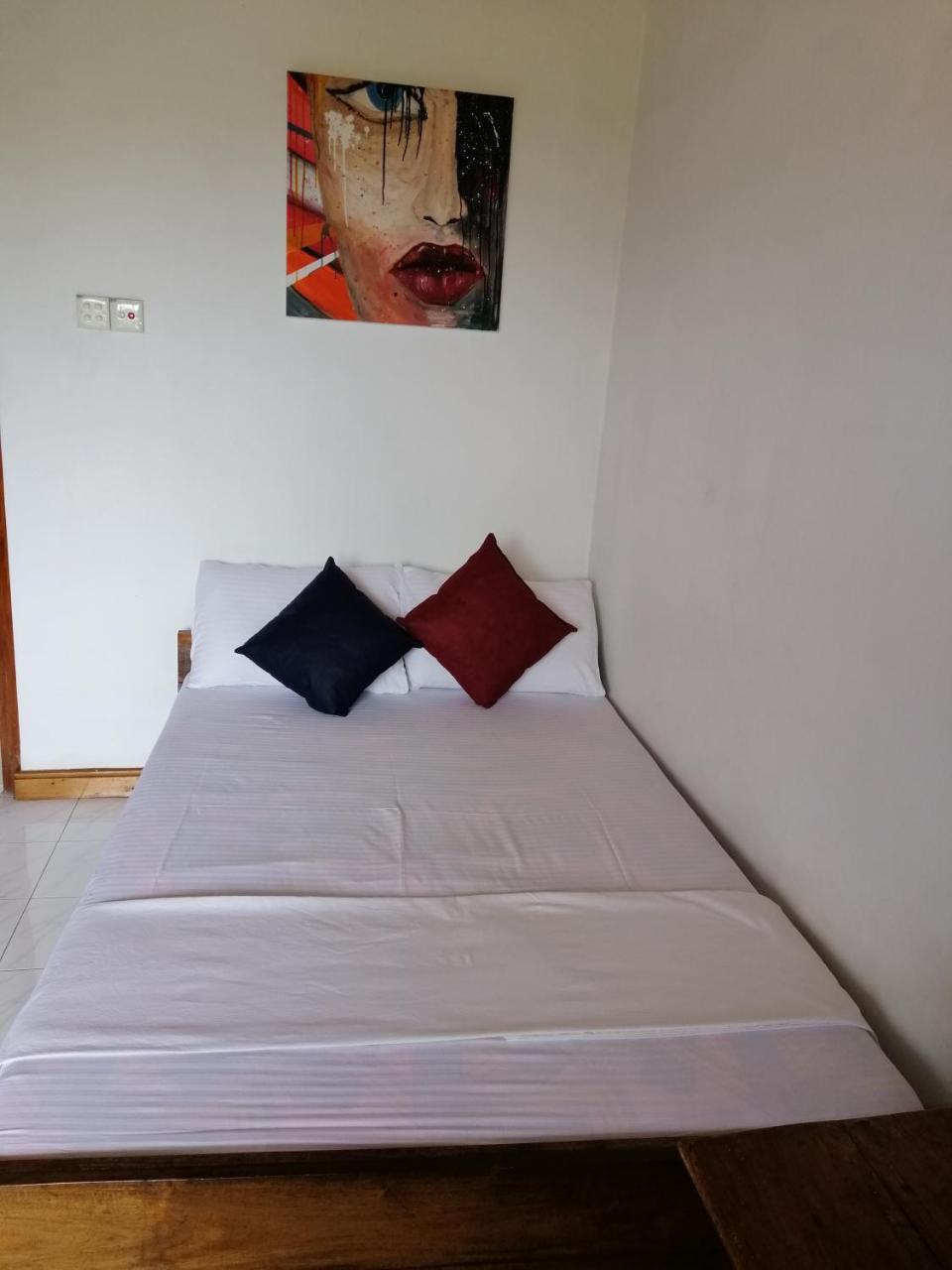 Antique Tourists Homestay *
