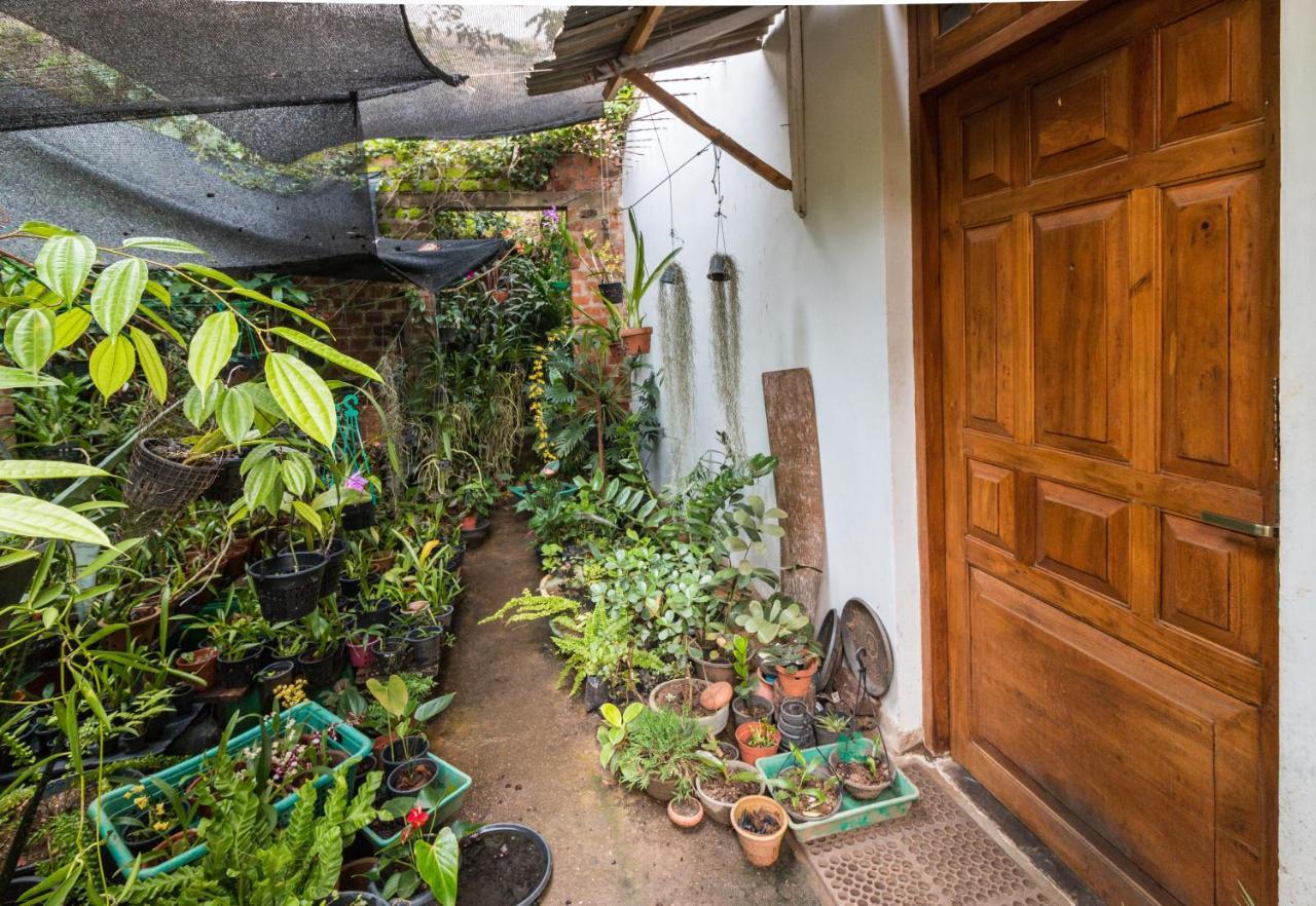 Homestay Amma's Kandy