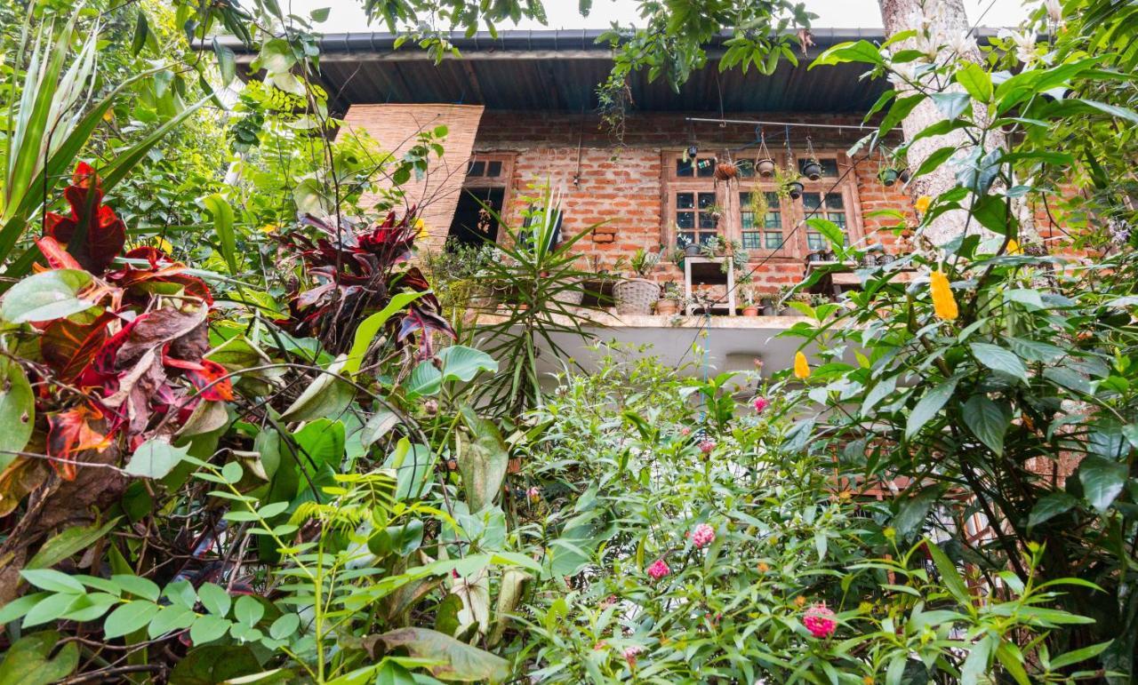 Amma's Homestay *