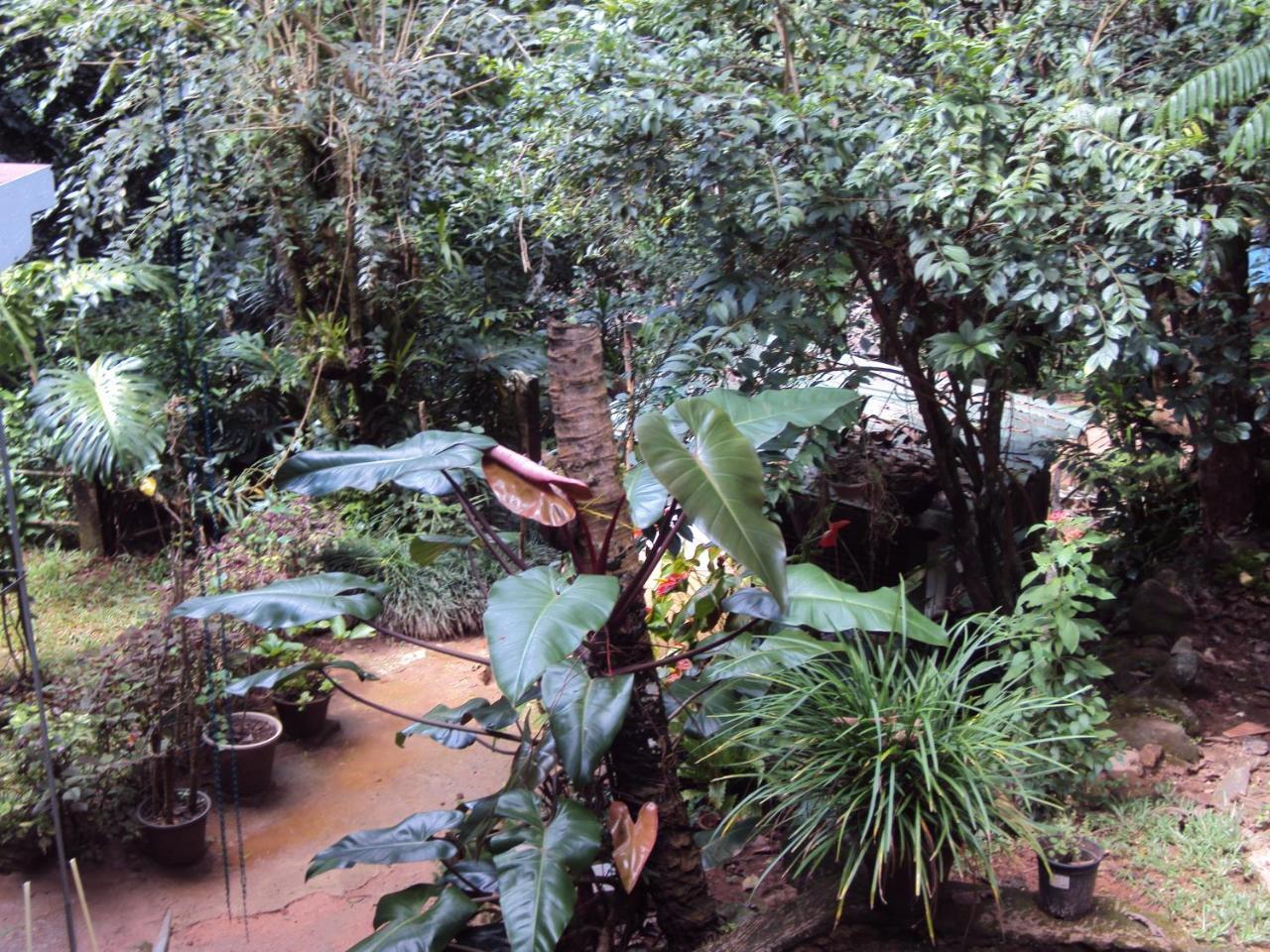Homestay Araliya Kandy