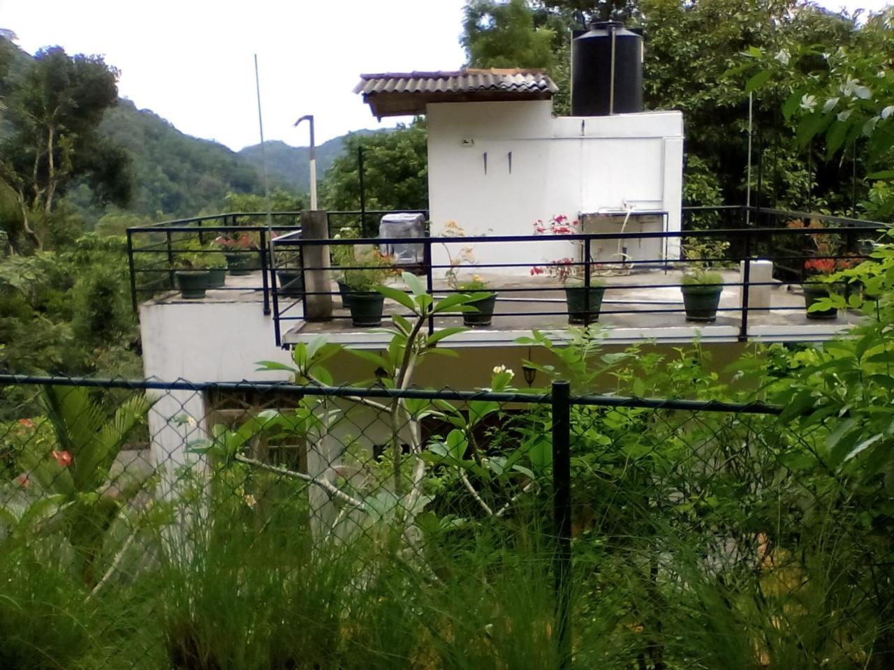 Homestay Araliya