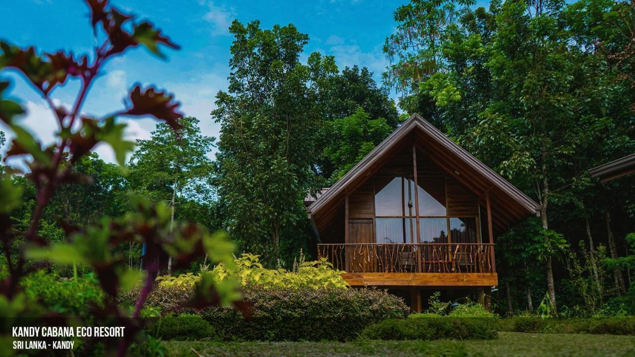 Kandy Cabana 3* Kandy