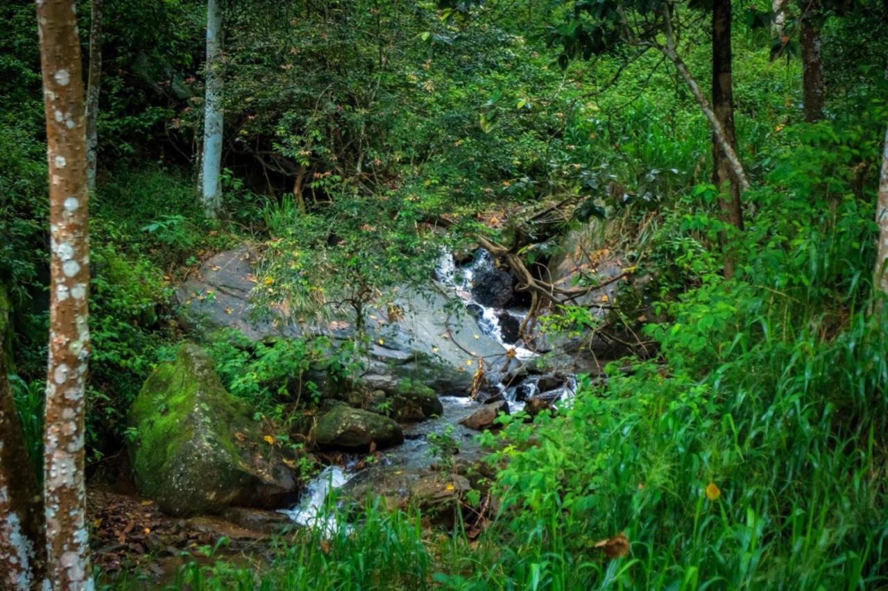 Simpson's Forest - Luxury Boutique & - 5* Kandy
