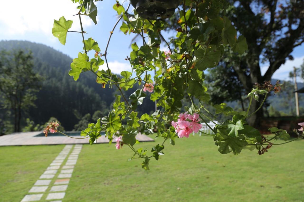 Guest house Rockbourne Kandy