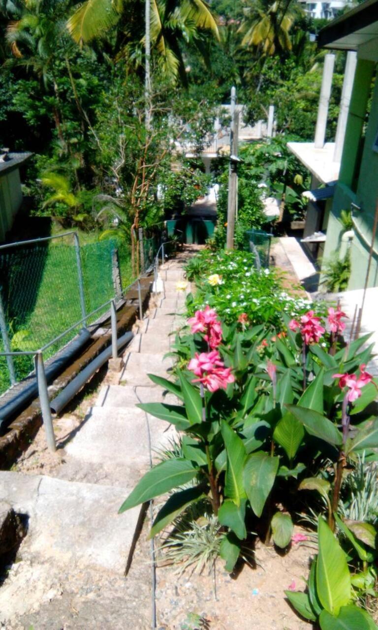 Homestay Miracle *