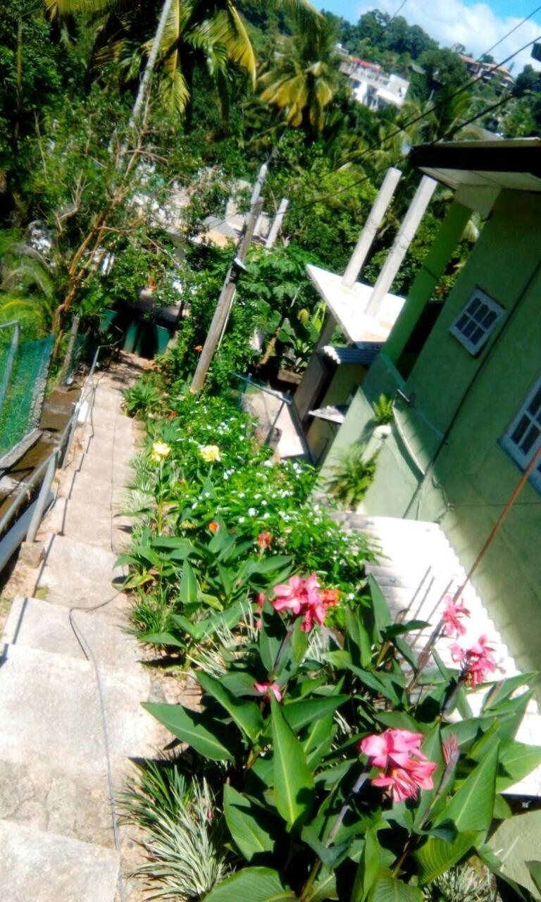 Miracle Homestay