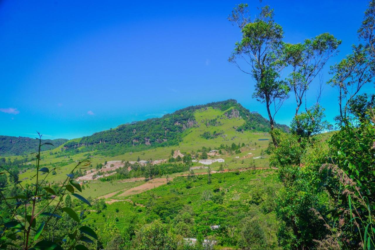 Lak Sewana Kandy