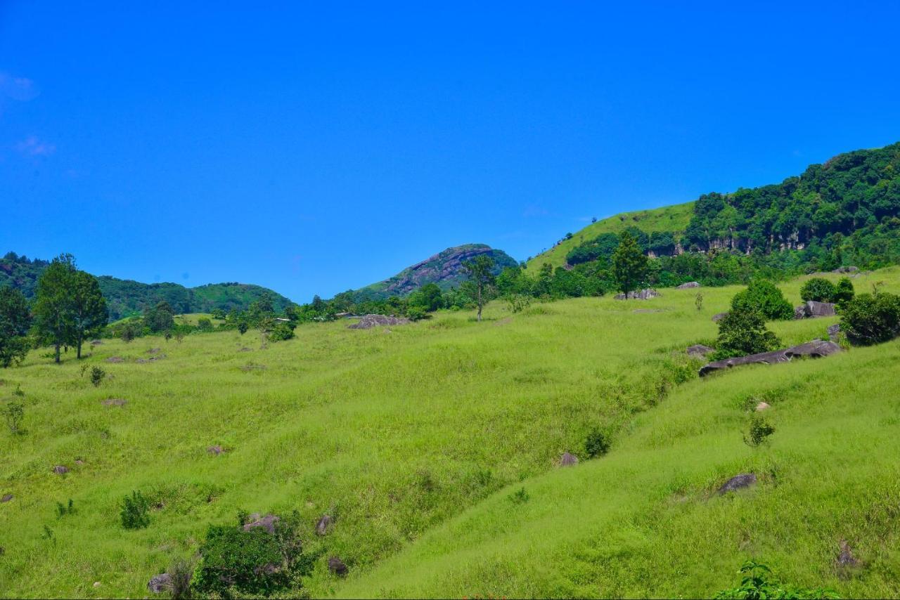 Lak Sewana Kandy