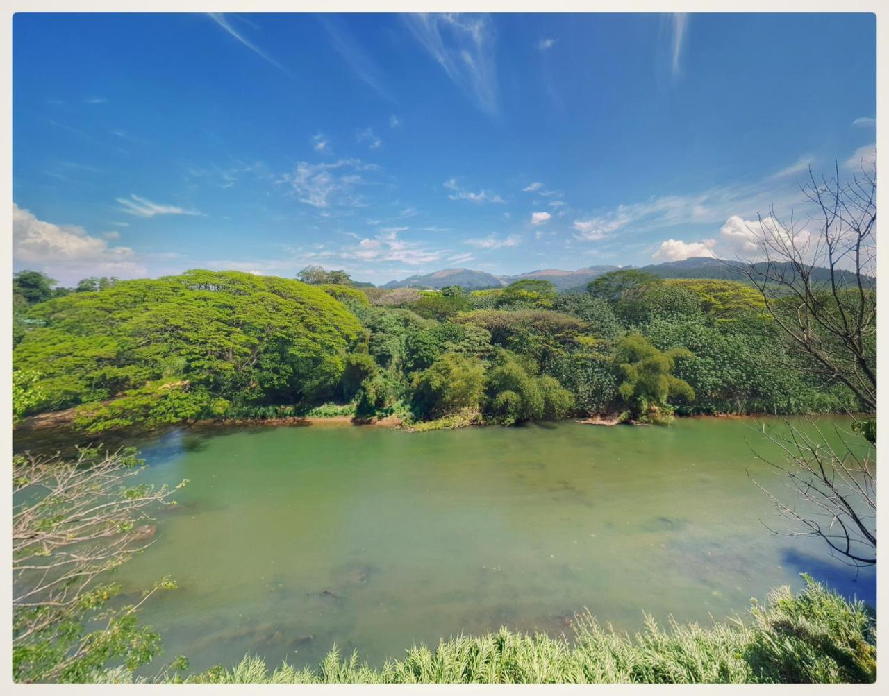 Homestay Hanthana Mount View
