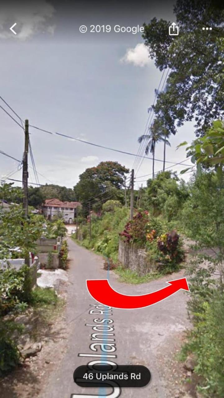Bed & Breakfast 47 Alfred House - Free Pickup From