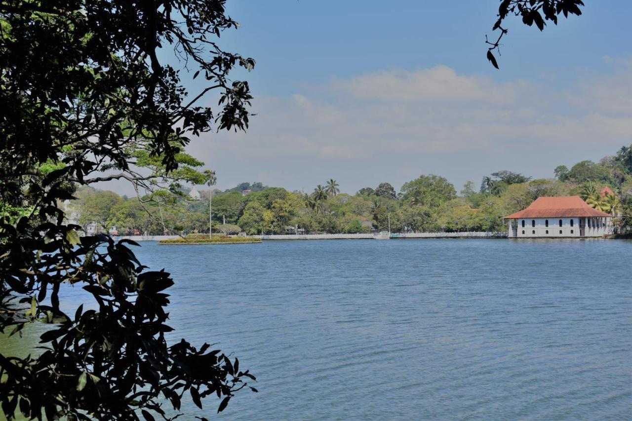 Calm Kandy
