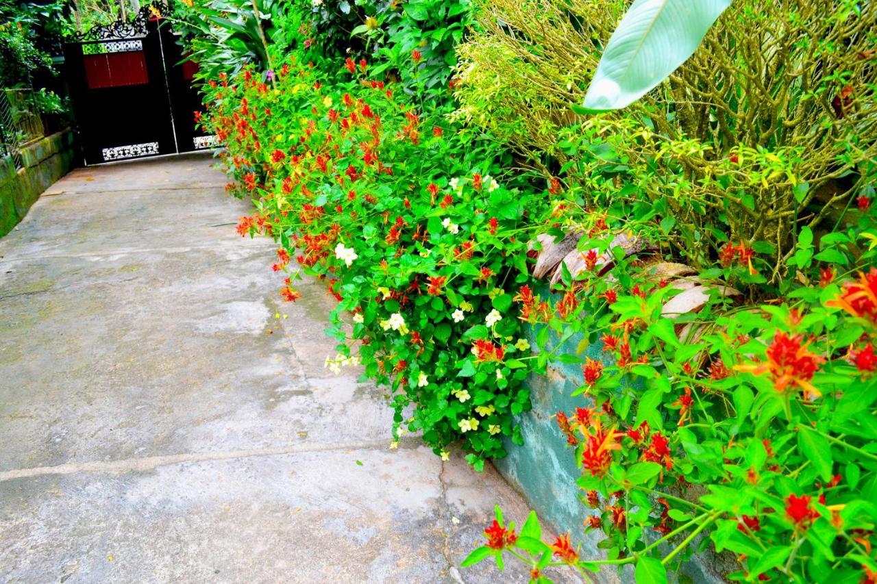 Danielsen Rest Homestay