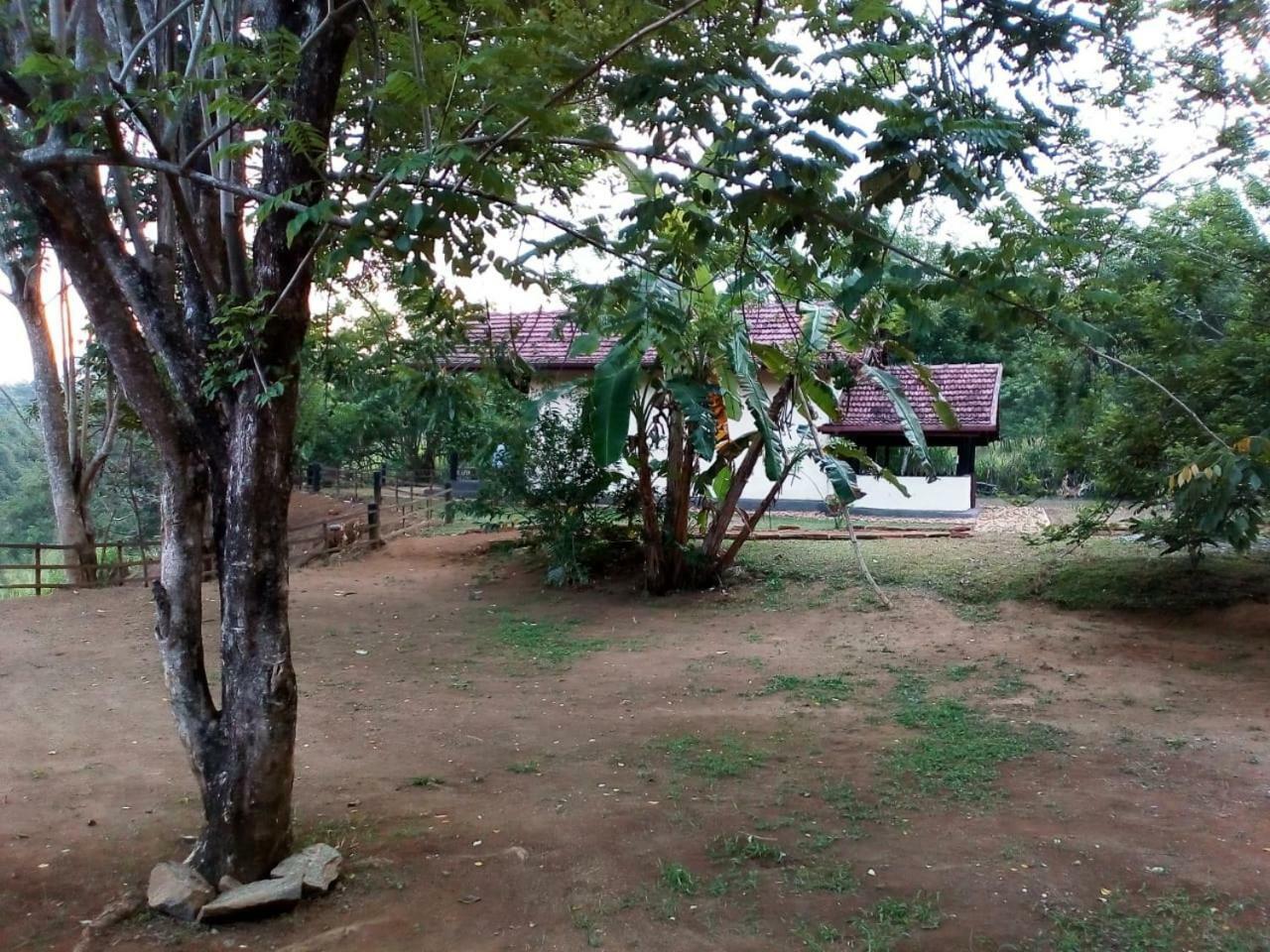 Okaya Guest house *