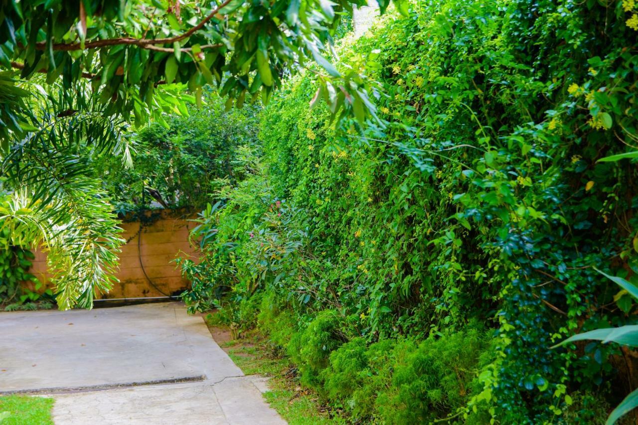 Garden Rest * Kandy
