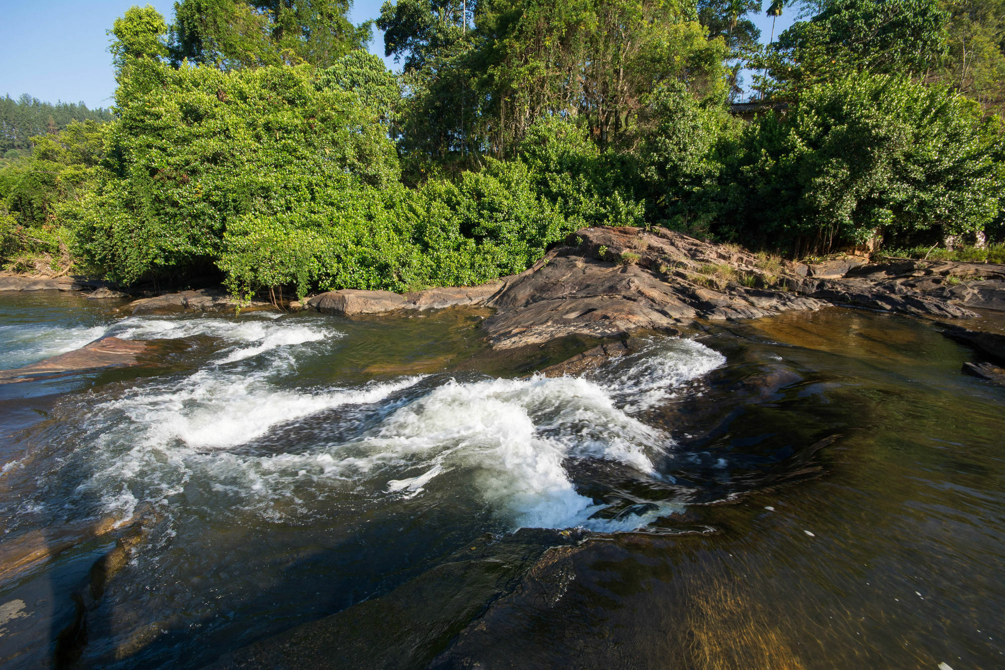 Okwin Resort Kandy