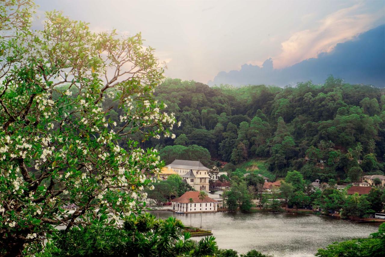 Lake Kandyan