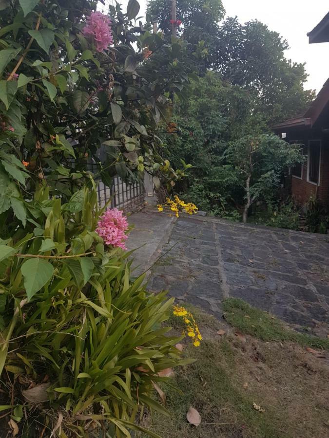 Bed & Breakfast No 51, Menik Rest 5*