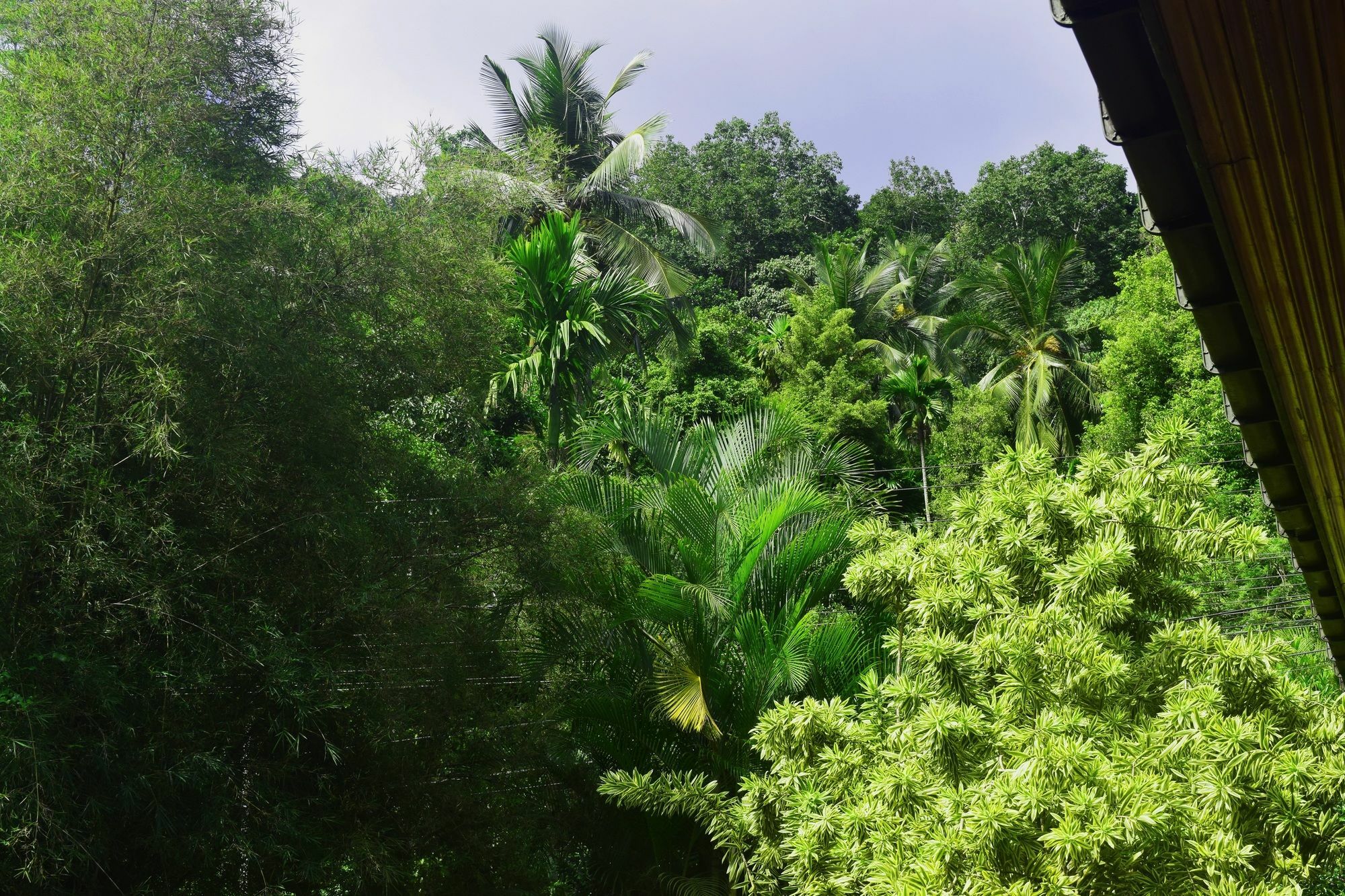 Avaana By Springhills 3*