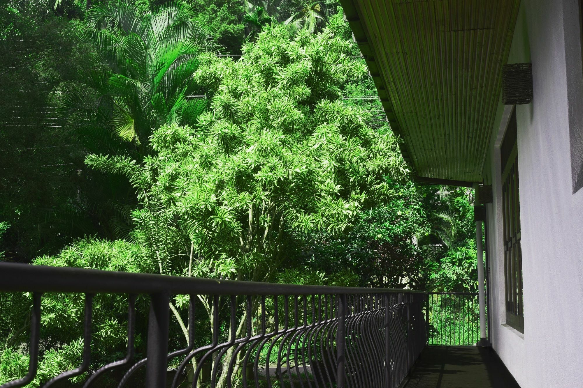 Guest house Avaana By Springhills Kandy
