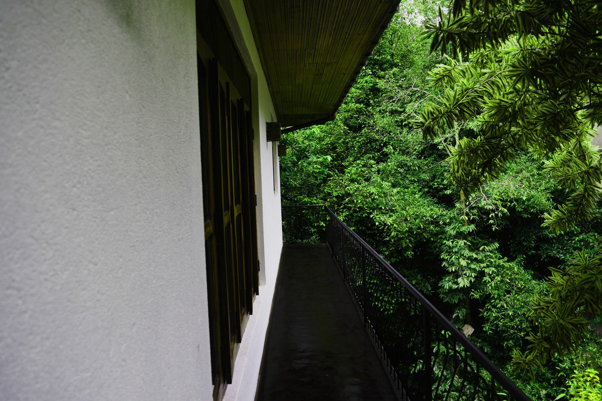 Avaana By Springhills Guest house 3*