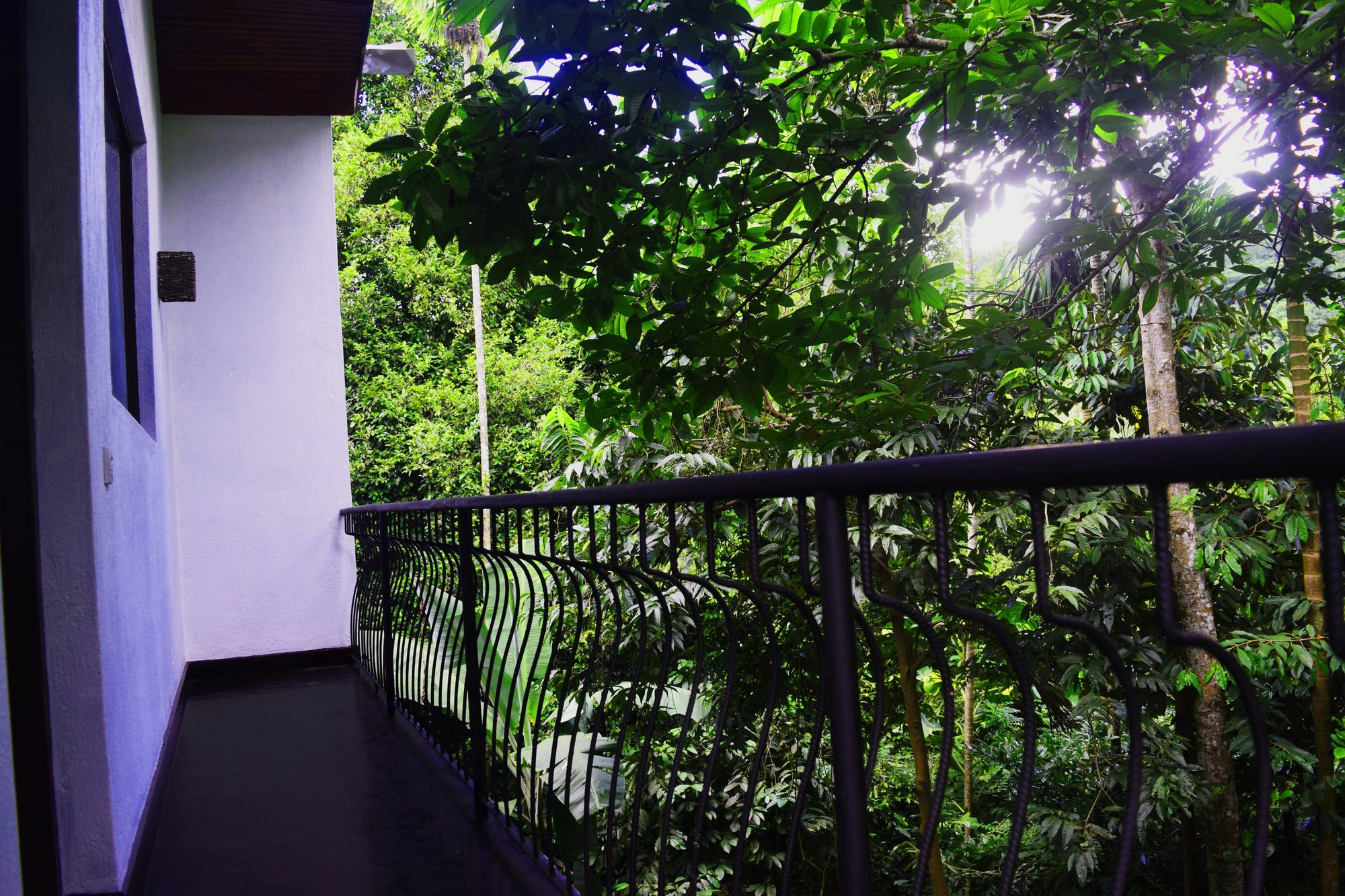 Guest house Avaana By Springhills